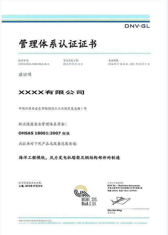 ISO45001职业健康安全证书样本-DNV证书样本.jpg