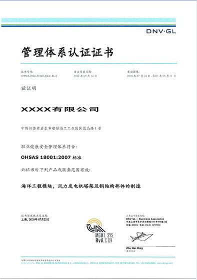 ISO45001职业健康安全证书样本-DNV证书样本